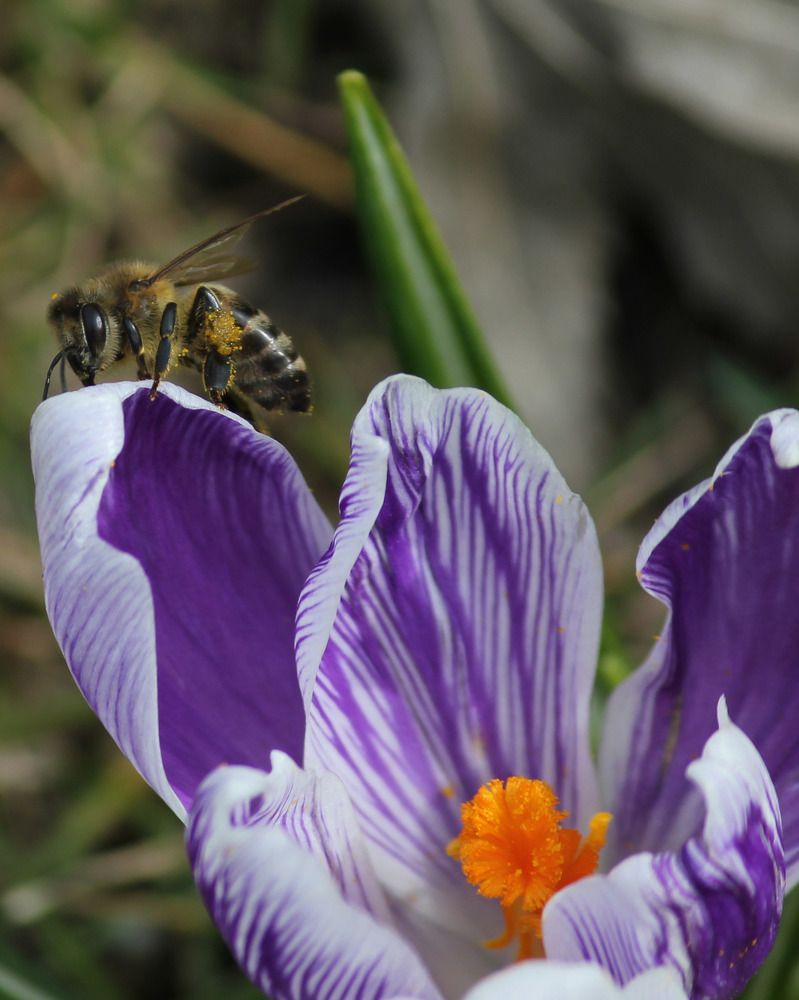 Photograph by Дмитрий Лобанов