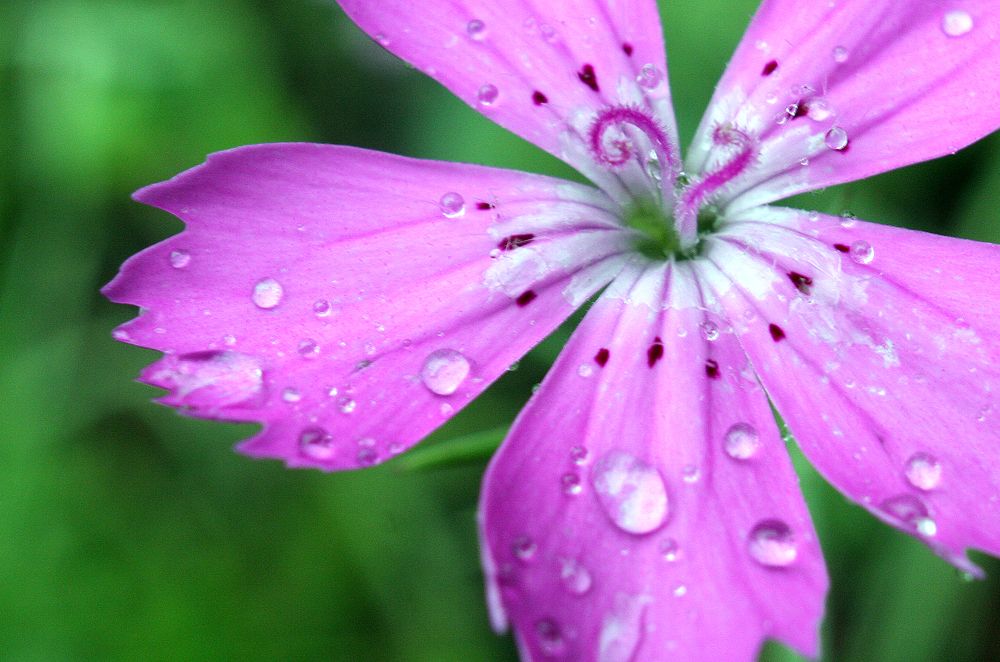 Photograph by Иван Овчинников