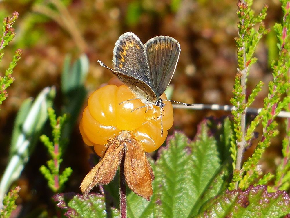 Photograph by Георгий Салюков