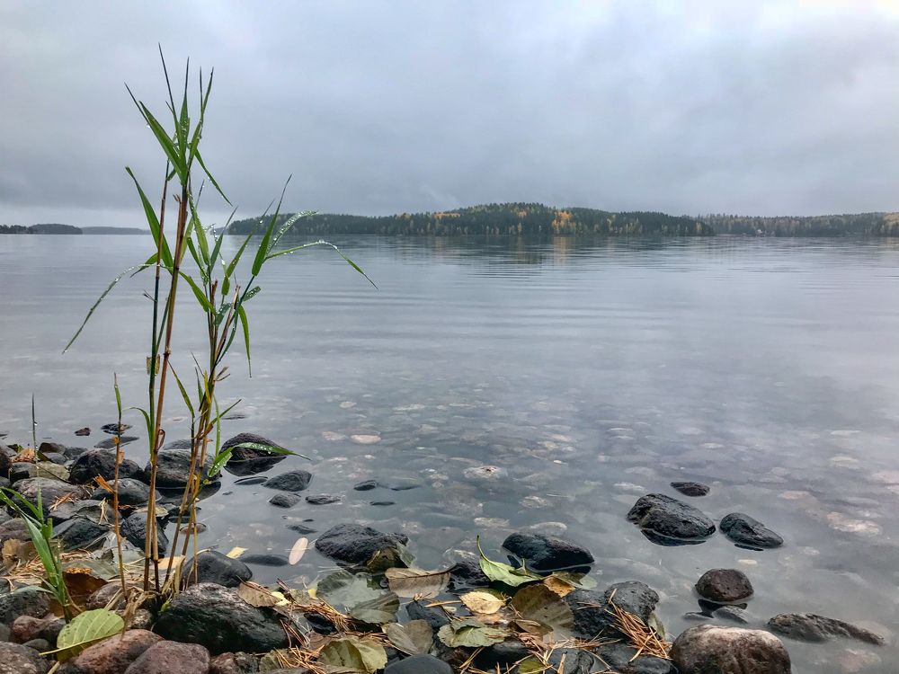 Photograph by Гордий Михаил