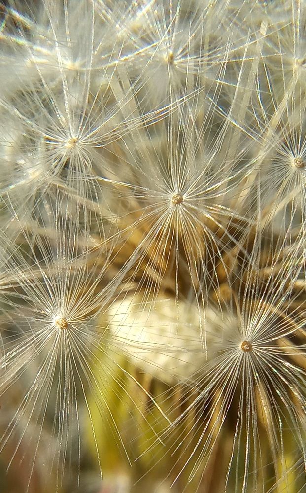 Фотография автора Марина Новикова