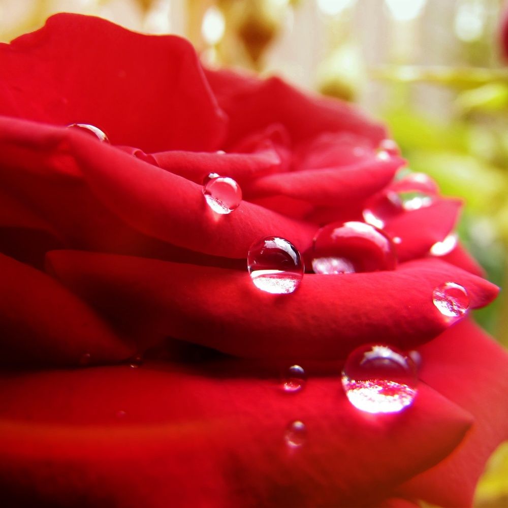 Photograph by Елизавета Большакова