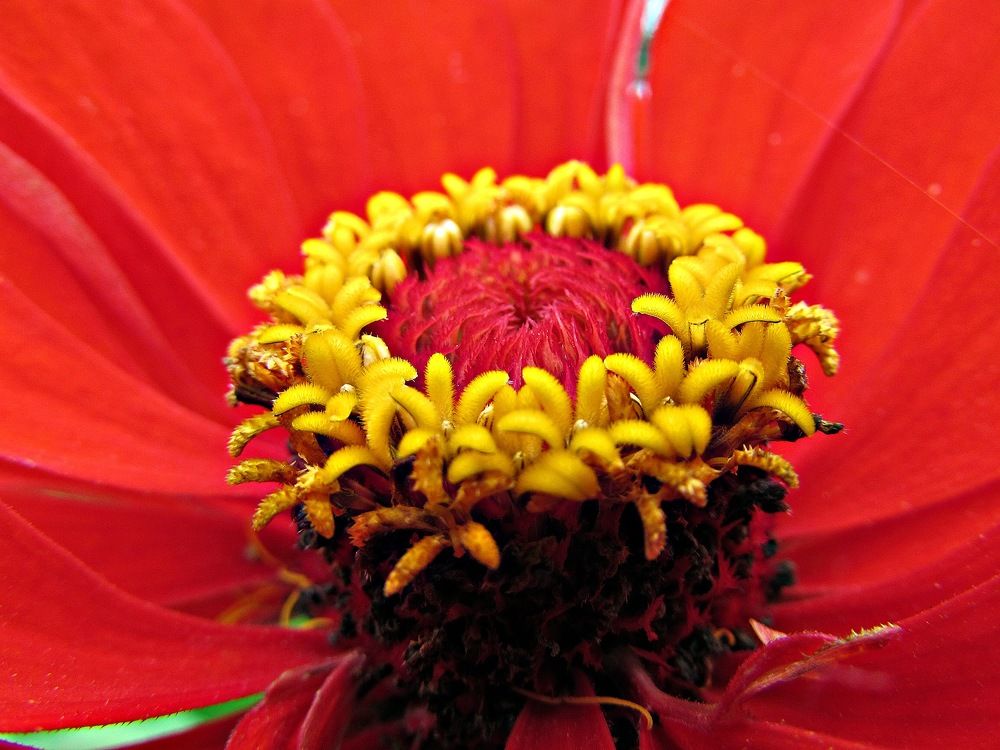 Photograph by Елизавета Большакова