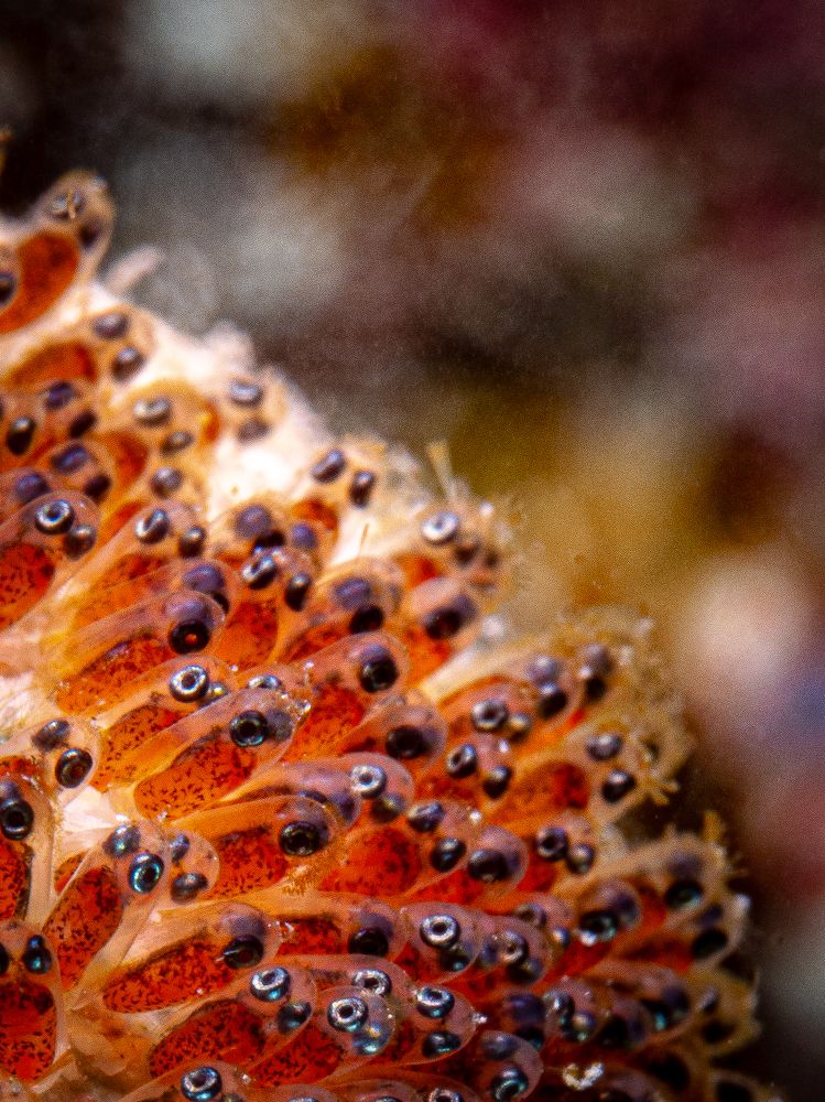 Детский сад