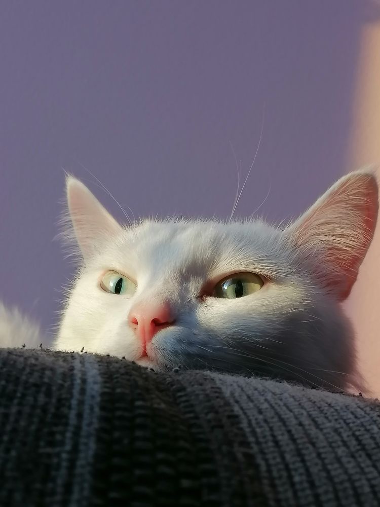 Photograph by Мария