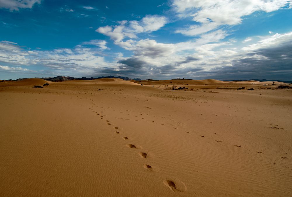 Photograph by Batjargal Lkhagvasuren