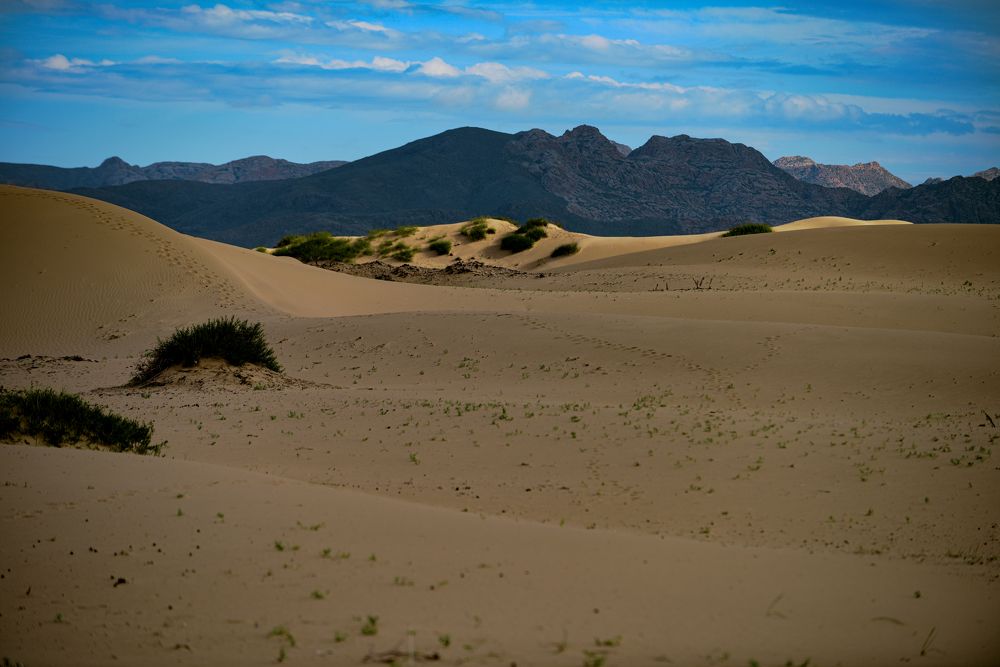 Photograph by Batjargal Lkhagvasuren