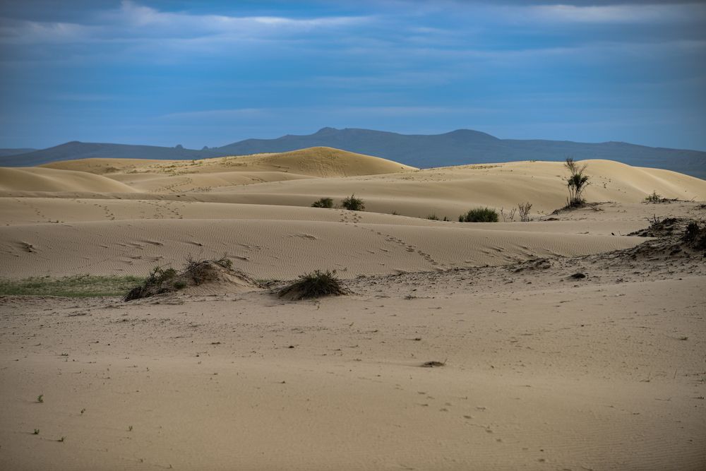 Photograph by Batjargal Lkhagvasuren