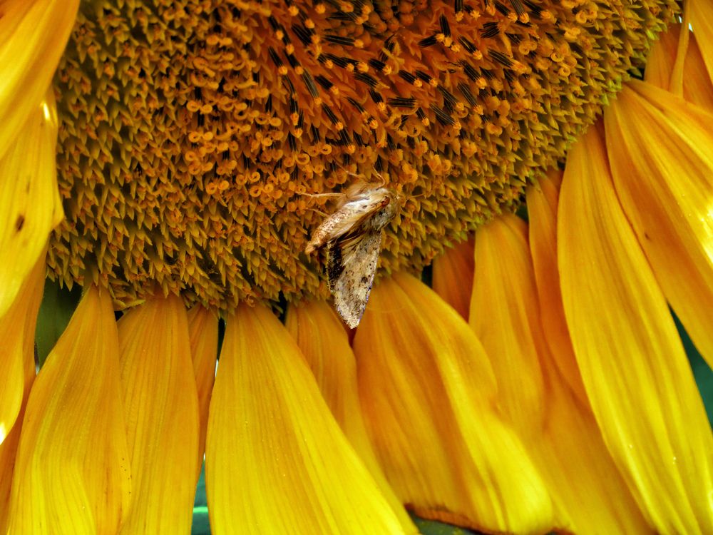 Photograph by Drora Baharal