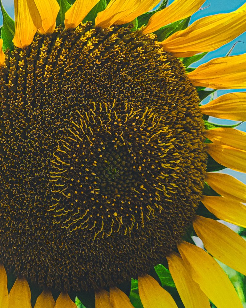 Photograph by Shubham Gujar