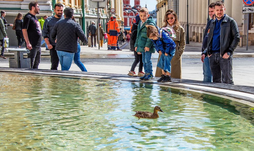 Photograph by Владимир Безбородов