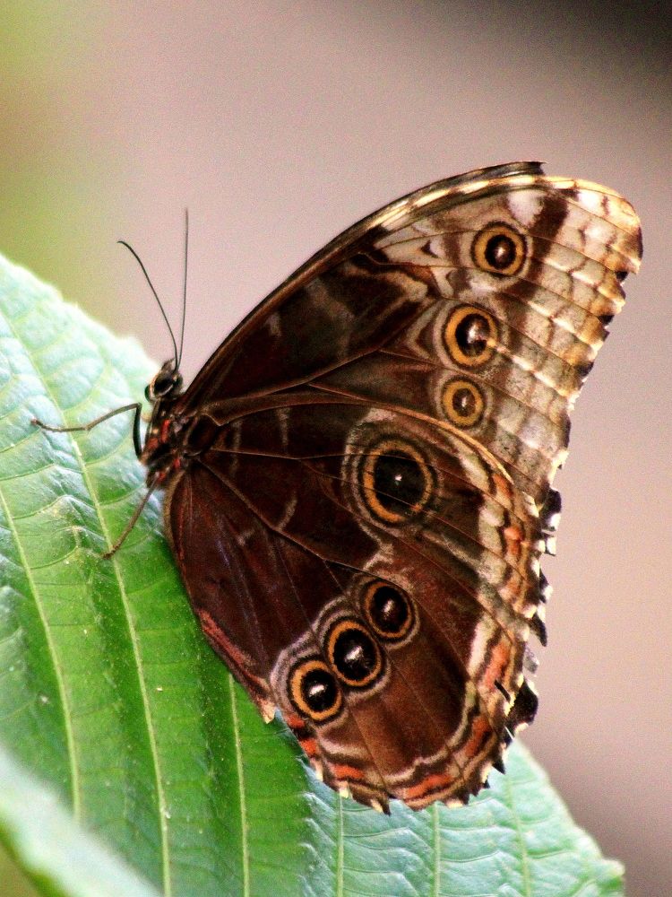 Photograph by 