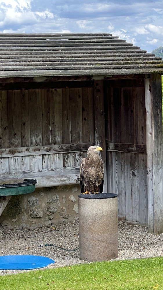 Photograph by Eugenia Schmidt