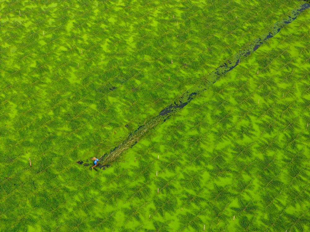 Photograph by Vu Khoa Nguyen Khanh