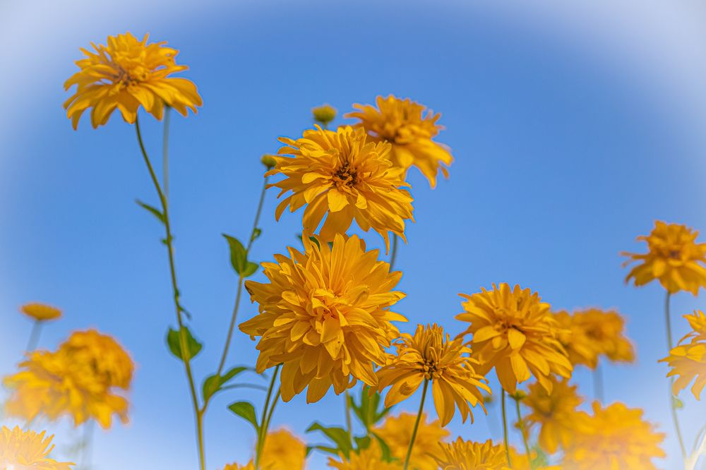 Photograph by Любовь Перевозникова