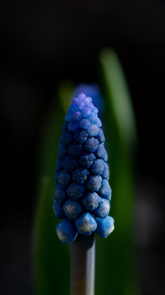 Photograph by Анжелика Сороколетова