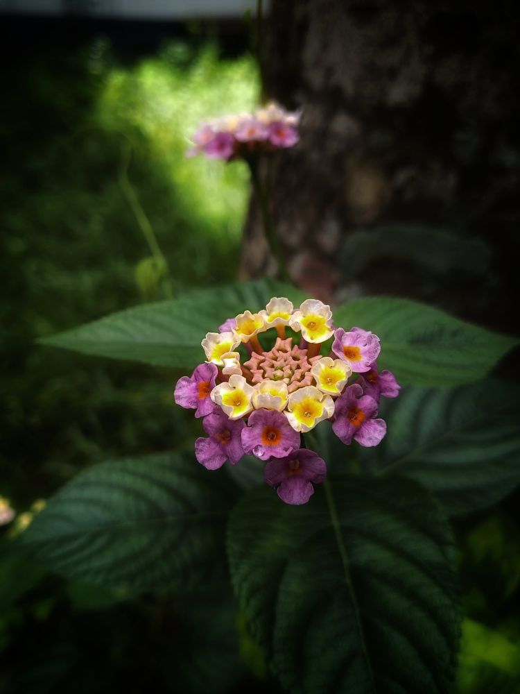 Photograph by Abhinav KA MAKKU
