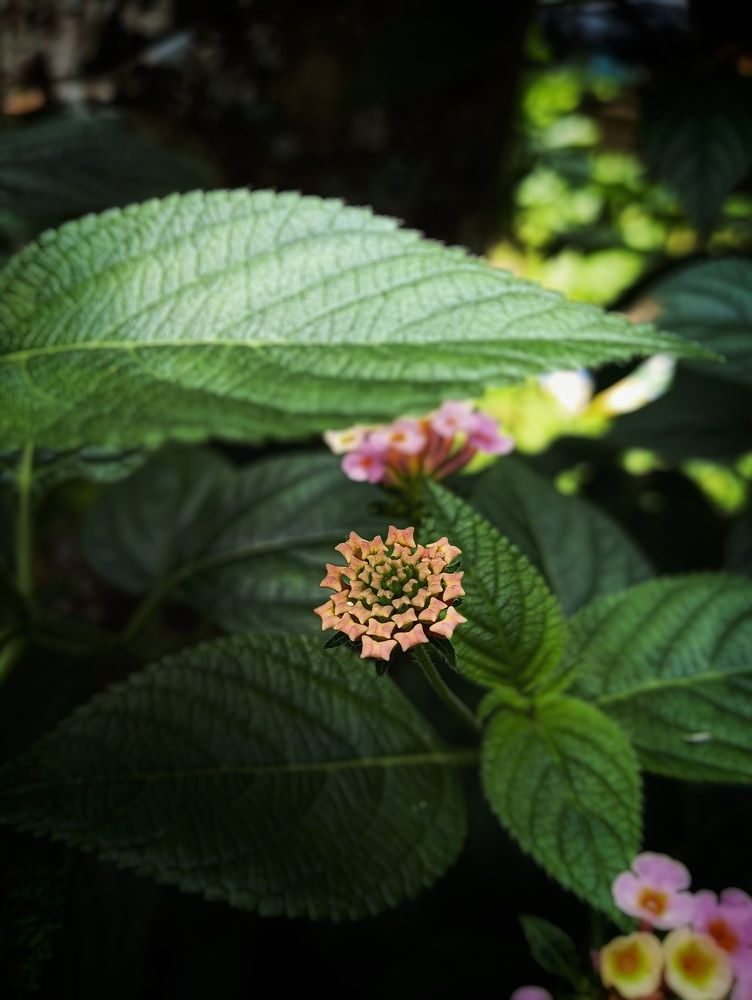Photograph by Abhinav KA MAKKU