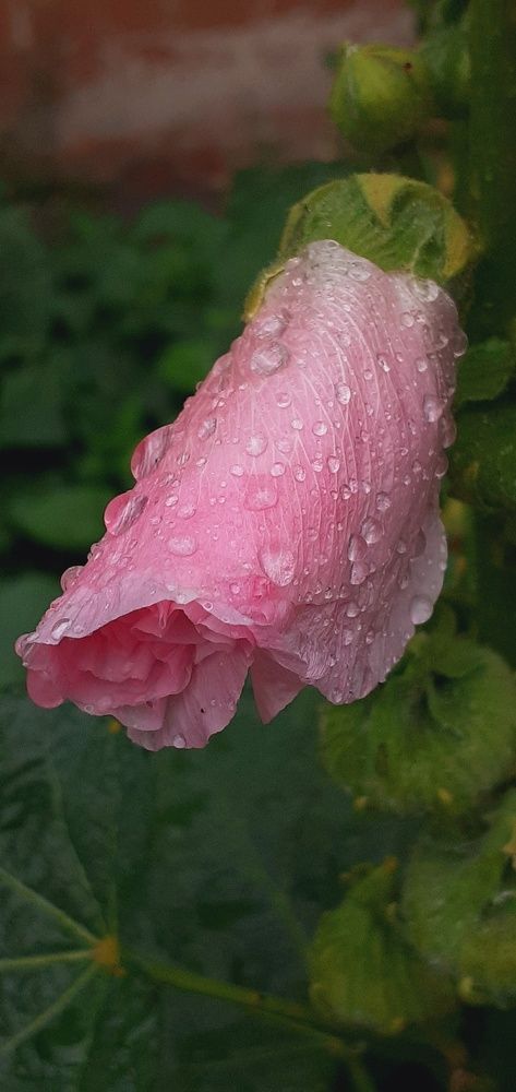 Photograph by Евгения Ульянова