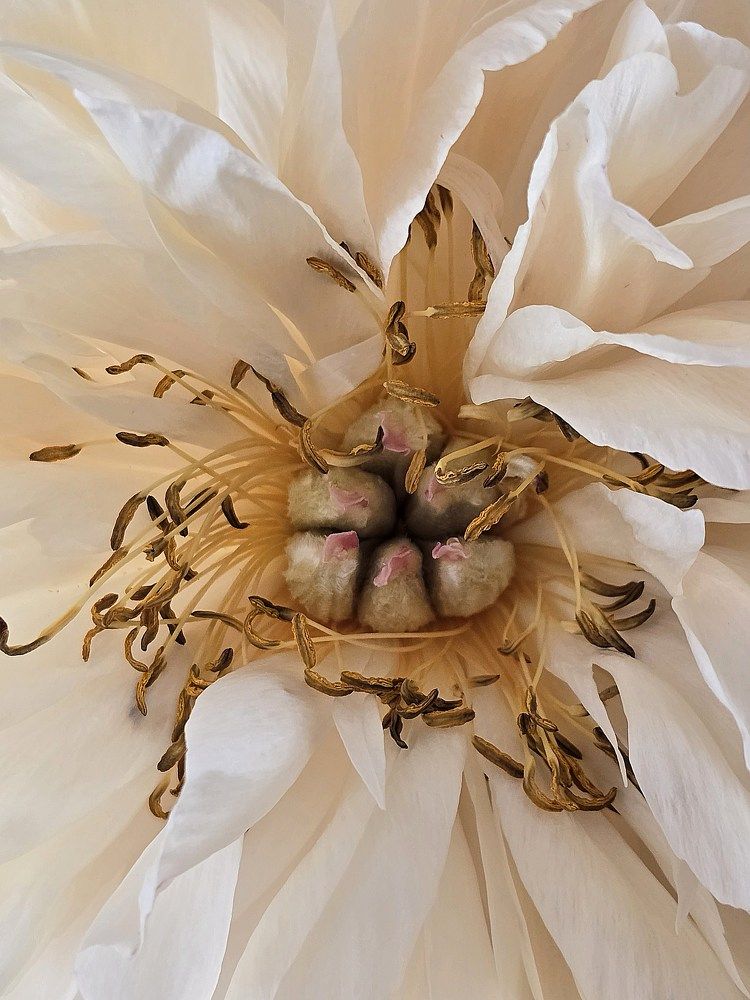 Photograph by Светлана