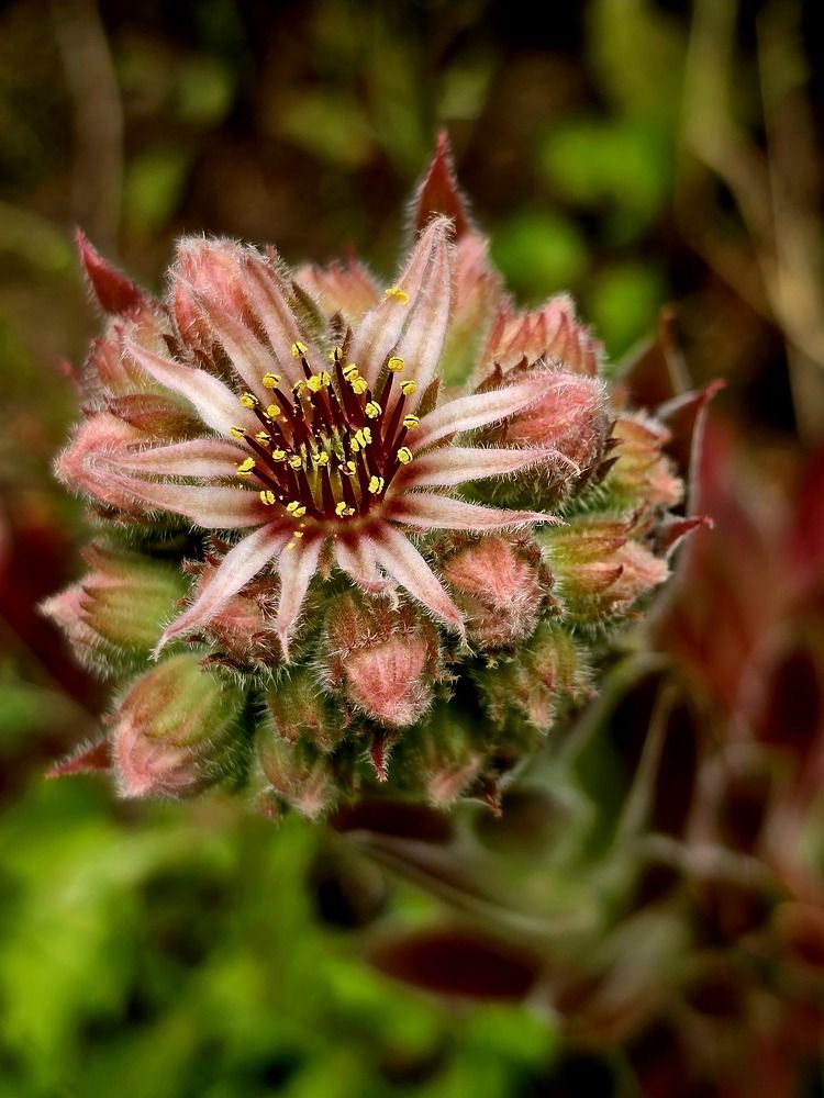 Photograph by Светлана