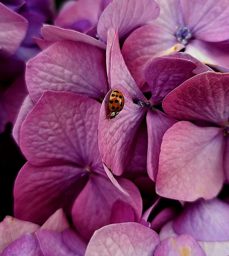 Photograph by Светлана