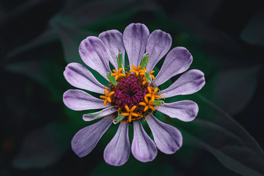 Photograph by Мария Рейтерн