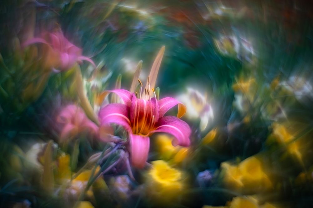 Photograph by Николай Фонарёв