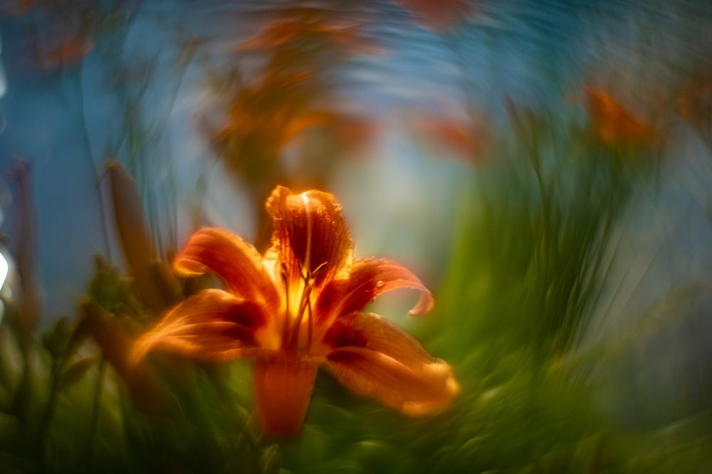 Photograph by Николай Фонарёв