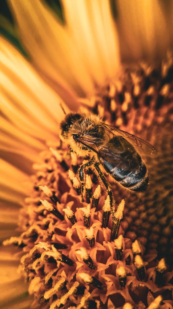 Photograph by Julia Mironenko