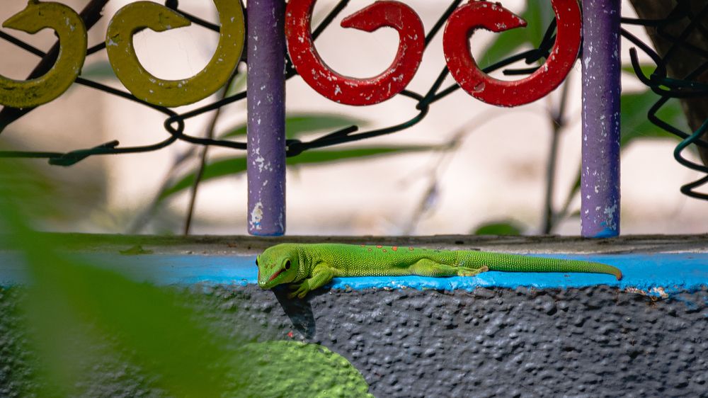 Photograph by Наталья Кокорина