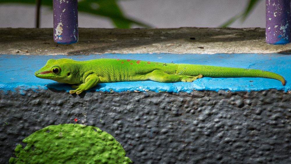 Photograph by Наталья Кокорина