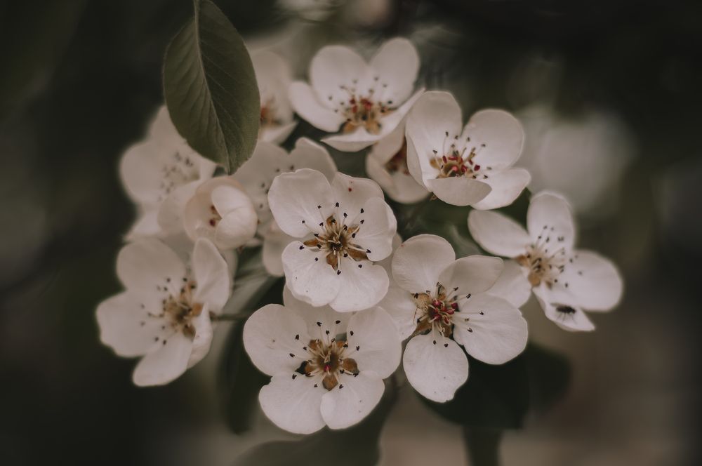 Photograph by Ольга Глущенко