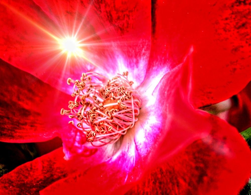 Photograph by Jaroslav Sameš