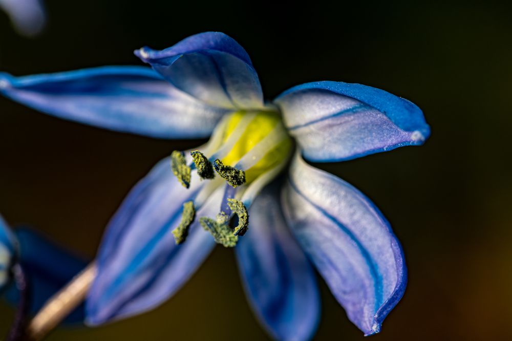 Photograph by Елена Богдан