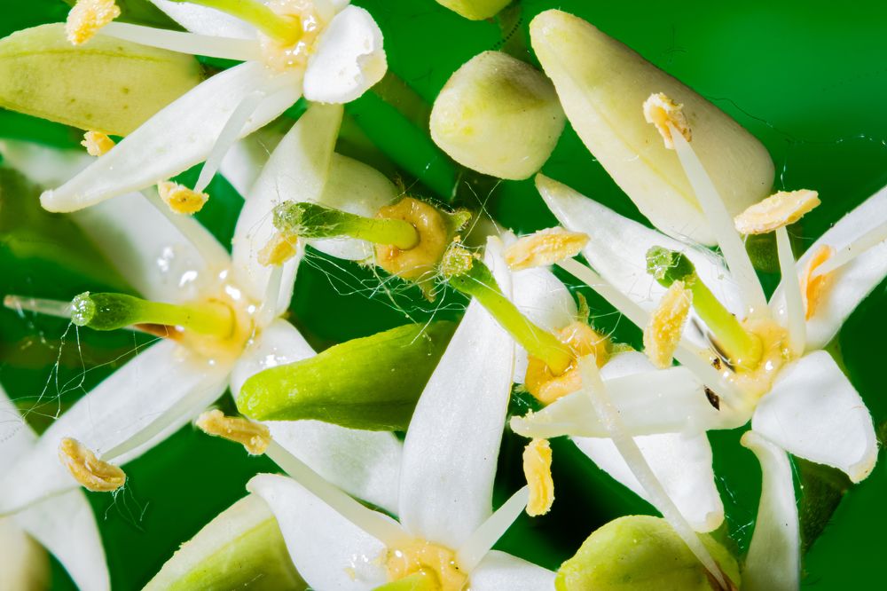 Photograph by Елена Богдан