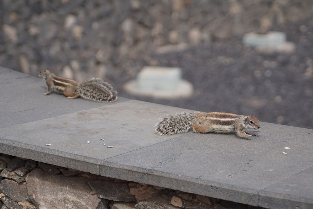 Фотография автора Liudmila Kiermeier