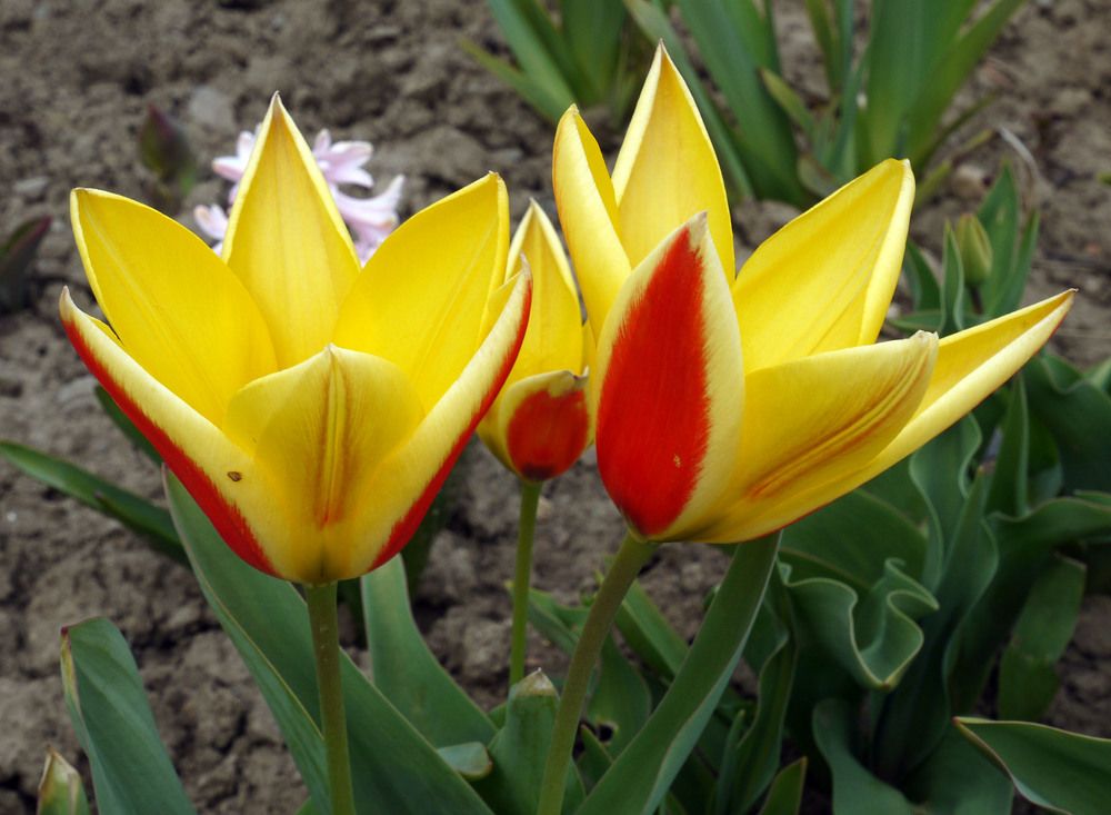 Photograph by Володимир Федишин