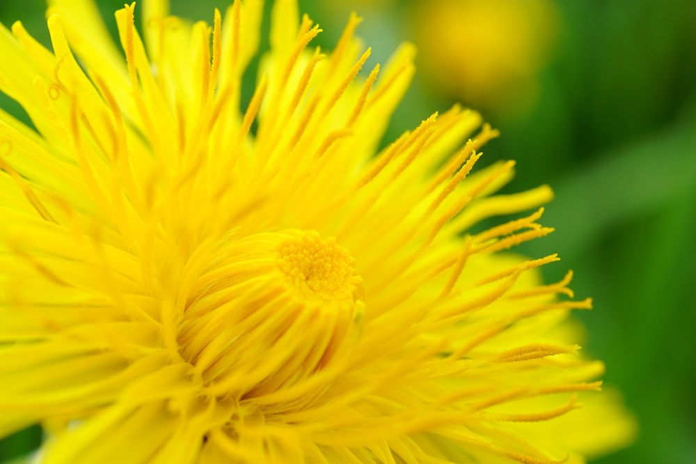 Фотография автора Liudmila Kiermeier