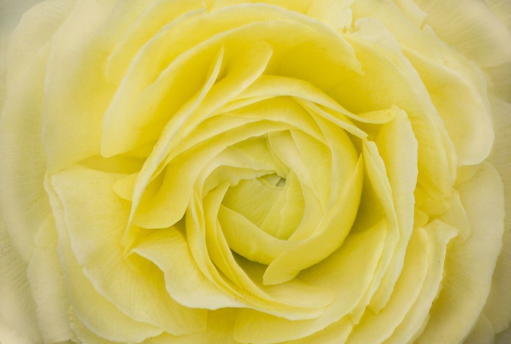 Photograph by hasan sorena jouri