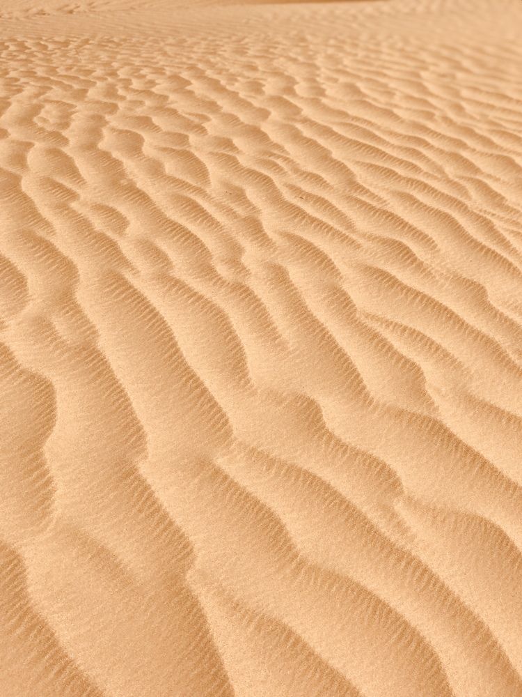 Photograph by Ееатерина Балабасева