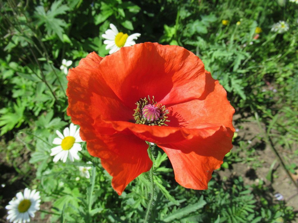 Photograph by Владимир