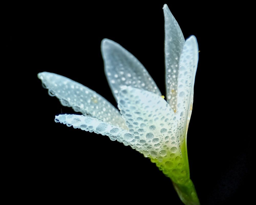 Photograph by Zaki Purnomo