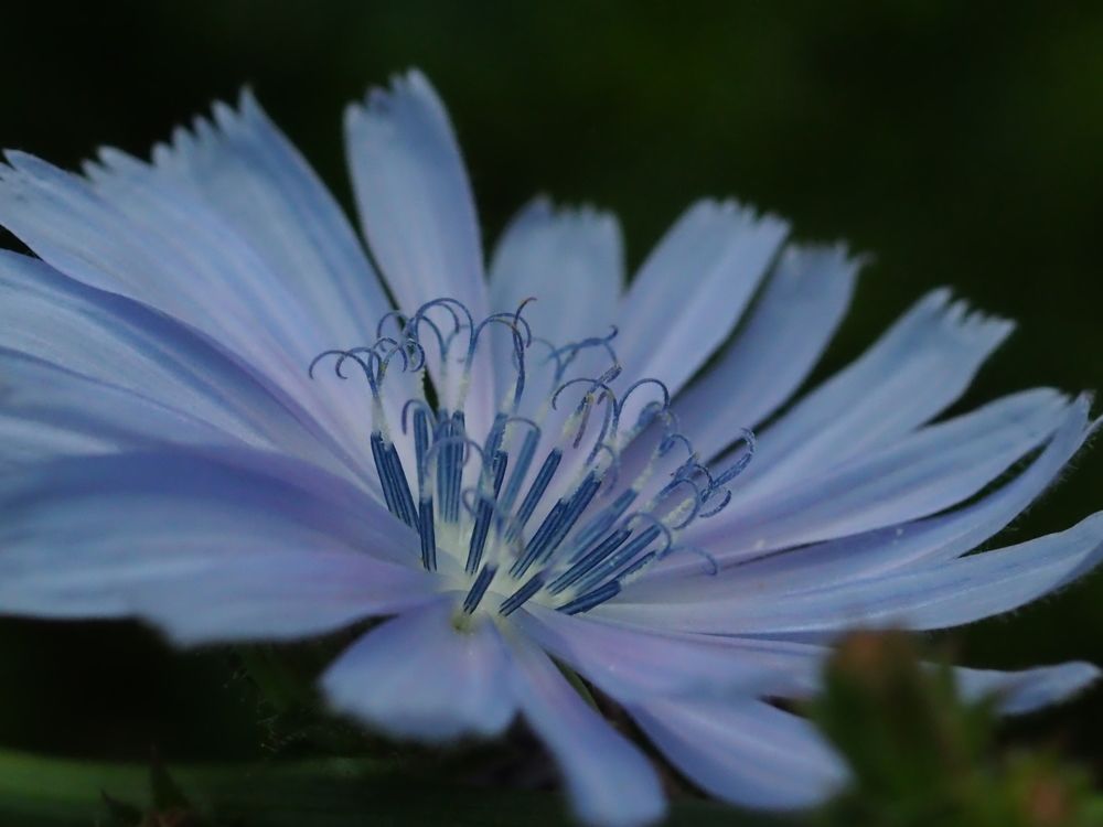 Photograph by Елена Харитонова