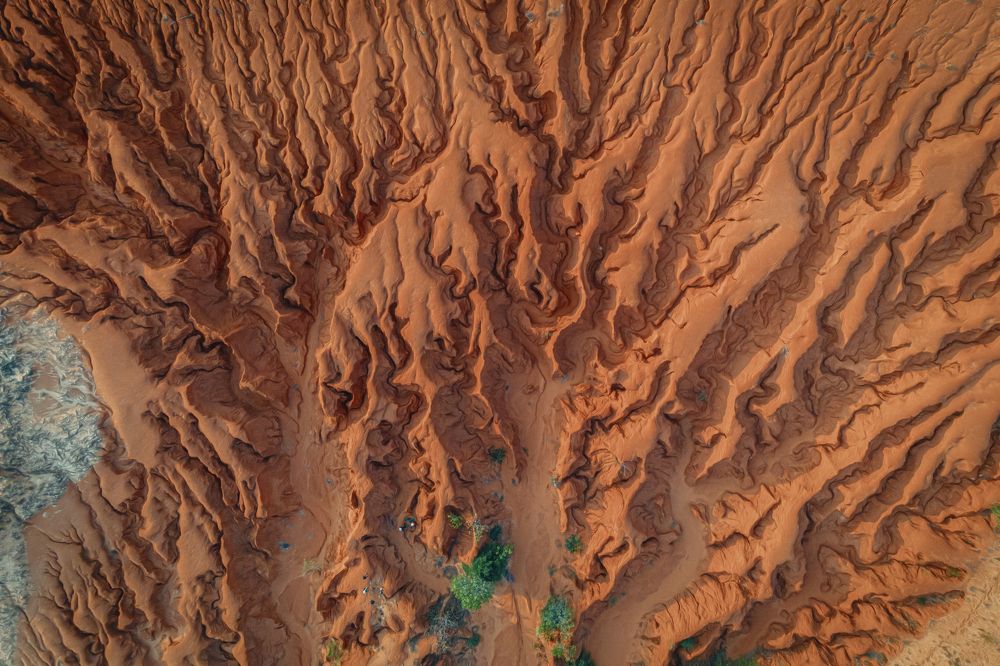 Photograph by Trung Hoa Vo