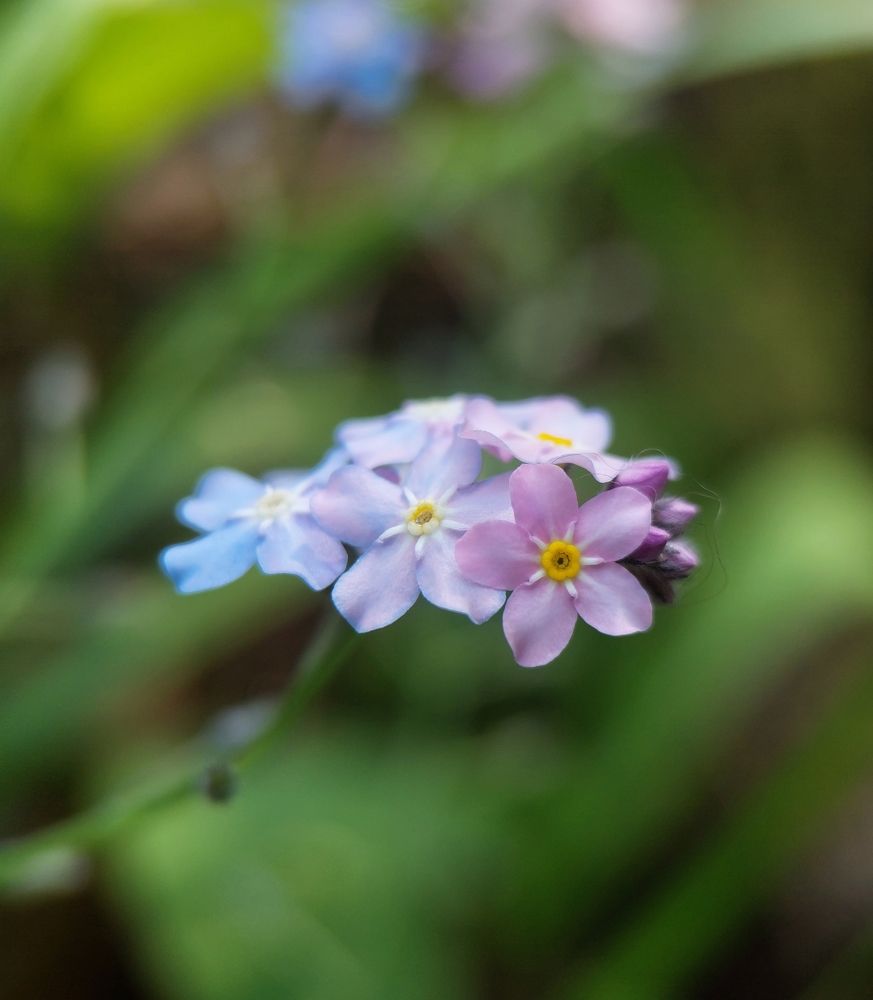 Photograph by Данила Черезов
