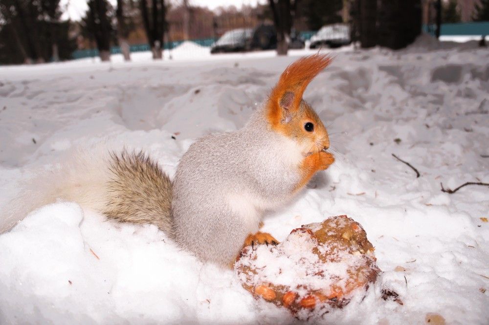 Photograph by Sergey Shtrekalkin