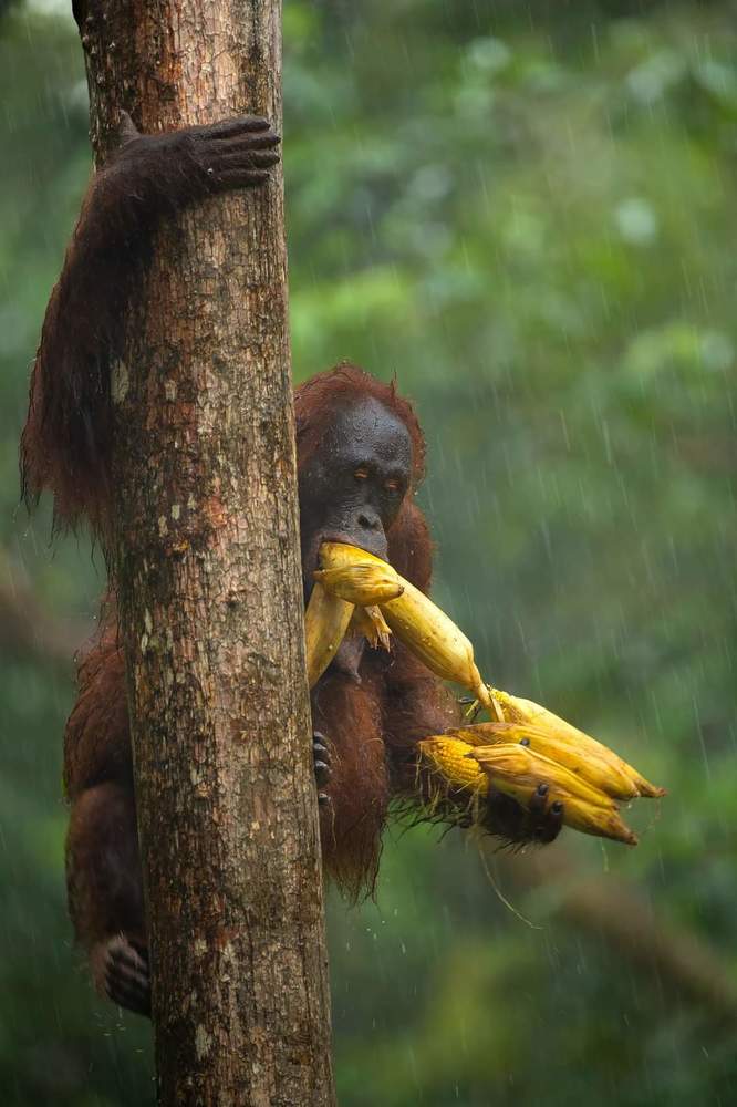 Photograph by Sathyan KM