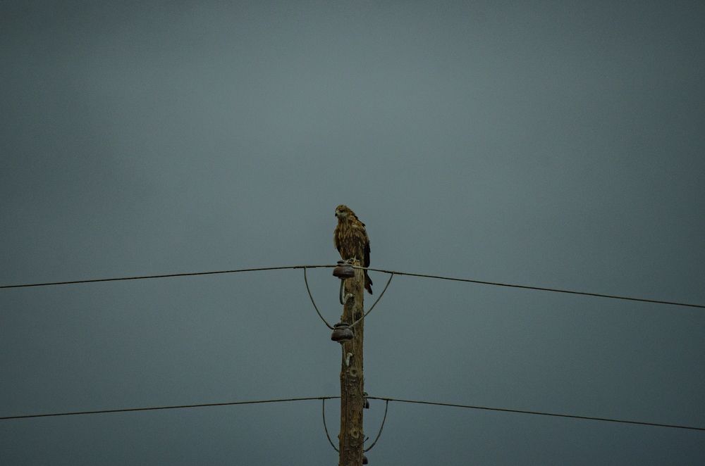 Photograph by Надежда Михайлина