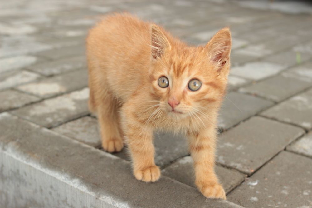 Photograph by Ксения Юргенфельд